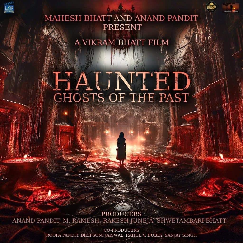 Haunted 3D: Echoes of the Past poster